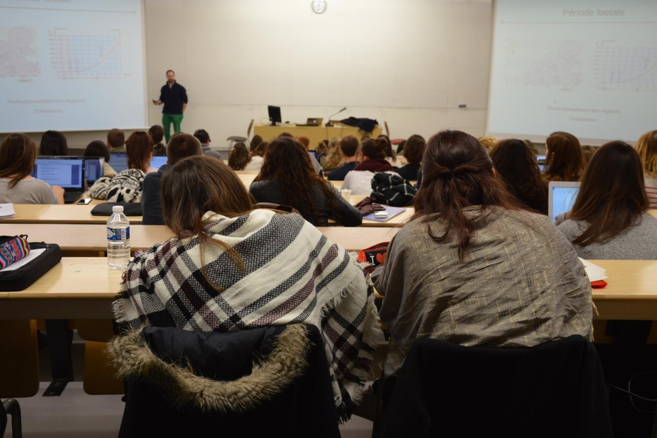 A quoi ressemble la première année d’études de psychologie