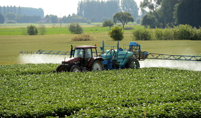 Pulvérisation de pesticides à Vimy, près de Lens, en juin 2014.