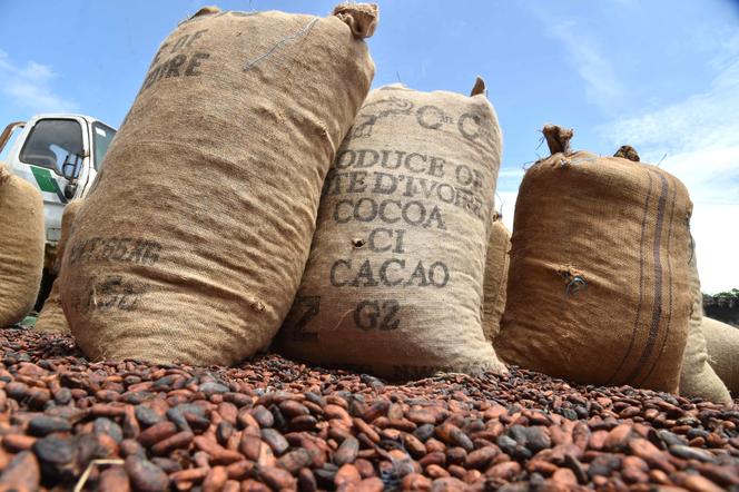 En Côte d’Ivoire, le dynamisme retrouvé de l’économie attire les grands