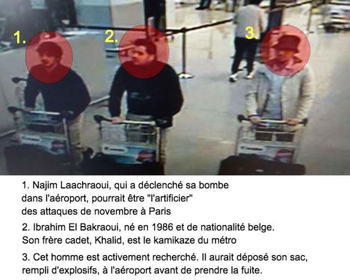 bbw zaventem bbw zaventem