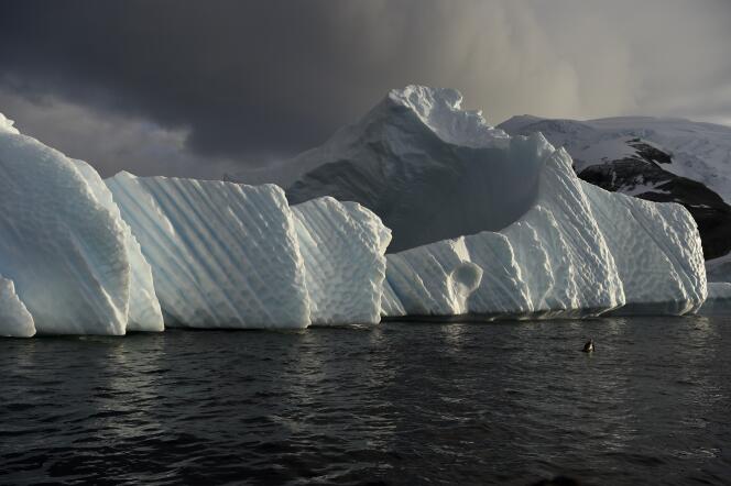 Conséquence de la fonte des glaces, les océans et les mers de la planète ont monté d’environ 14 centimètres entre 1900 et 2000, selon une étude parue en février dans les Comptes Rendus de l’Académie américaine des sciences (ici, un iceberg dans l'Antarctique, le 4 mars 2016).