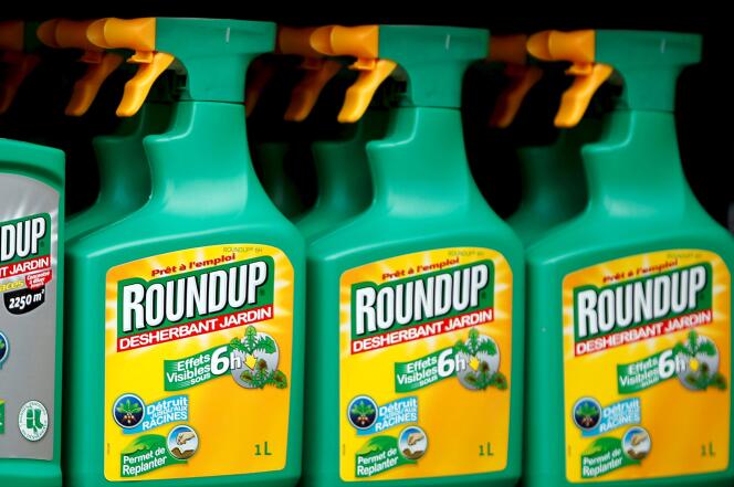 Le célèbre Roundup de Monsanto, l’herbicide le plus populaire à base de glyphosate.
