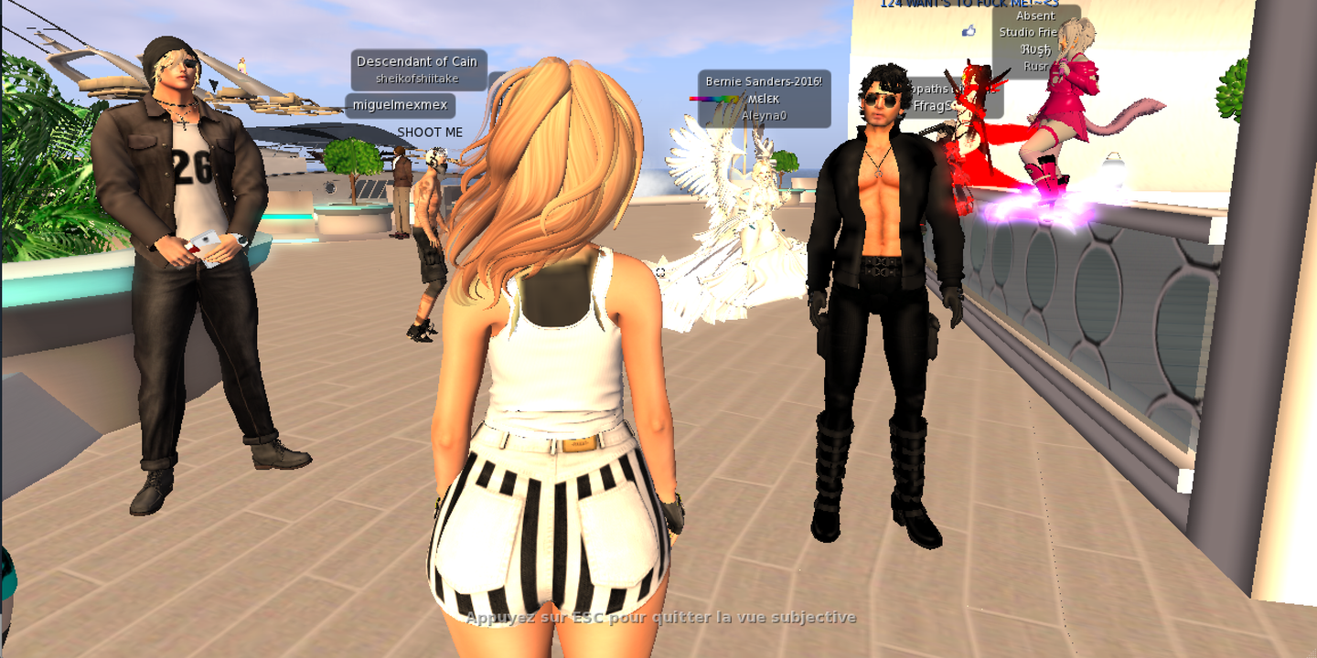 Rencontres Sims en anglais pour PC