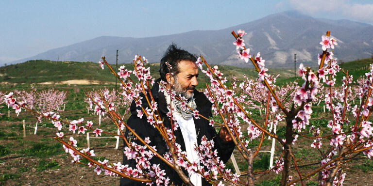 Ovik Asmaryan, examine un pêcher dans son vergers. D'origine arménienne, nait à Alep en Syrie, il a fuit la guerre en 2012 pour s'installer avec sa famille et son frère à Stepanakert dans le Haut-Karabakh.  Ovik a investit dans des cultures sous serres, il y cultive des agrumes, des fleurs, des cactus et divers fruits. Il retourne régulièrement en Syrie, pour y ramener des arbustes, qu'on ne trouve pas en Arménie. 
