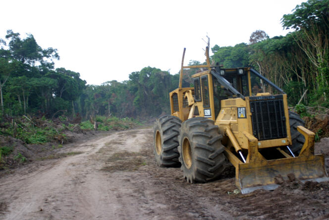 Dans la province de l'Equateur, dans le nord du Congo en 2004.