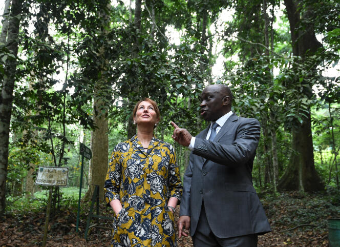 La ministre française de l'écologie, Ségolène Royal avec le ministre de l'environnement de Côte d'Ivoire, Remi Allah Kouadio dans le parc national du Banco à Abidjan, le 26 février 2016.