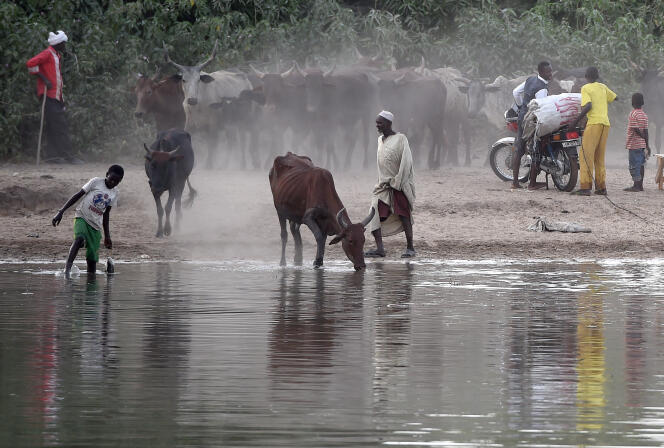 Un éleveur au bord du lac Tchad.