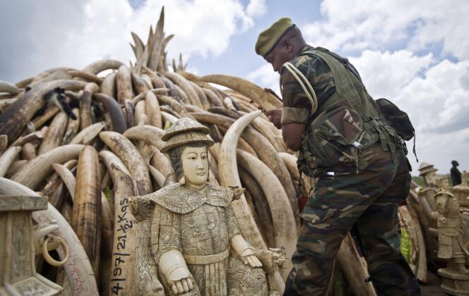 Le Kenya a brûlé 105 tonnes d’ivoire en avril 2016 pour encourager les efforts contre le braconnage d’éléphants.