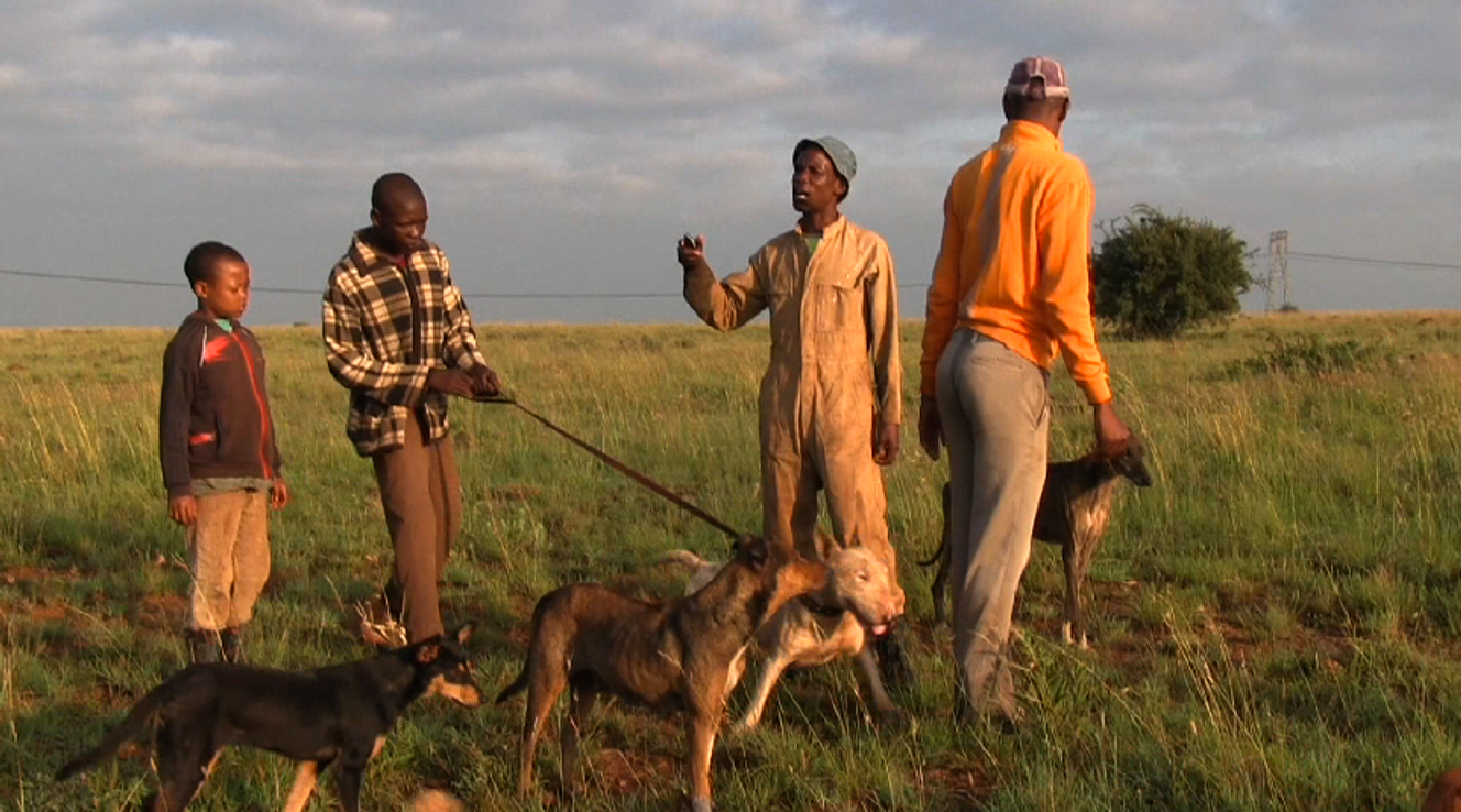 En Afrique du Sud, la chasse pour tous