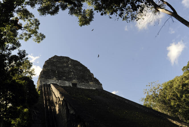 Ceci n’est pas la cité maya découverte par un adolescent, mais un temple bien réel du site archéologique de Tikal, au Guatemala.