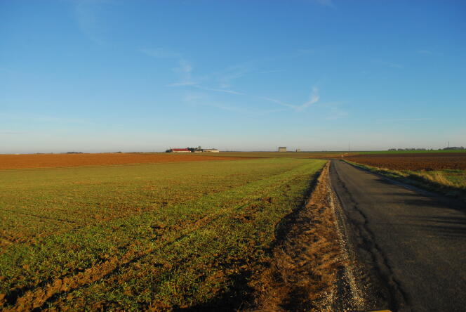 Une plaine agricole en Seine-et-Marne