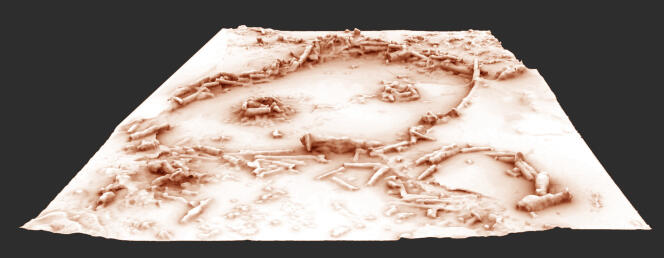 Restitution 3D des structures de la grotte de Bruniquel, après la suppression des repousses stalagmitique récentes.