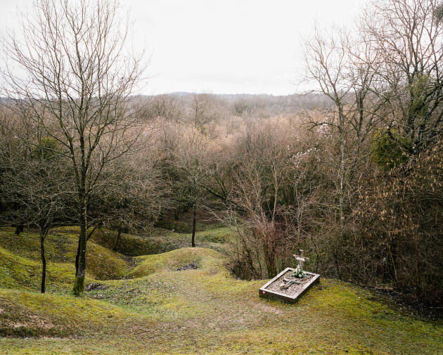 Une tombe de « poilu », en contrebas de la nécropole de ­Douaumont, qui compte 16 000 sépultures dans la forêt de Verdun.