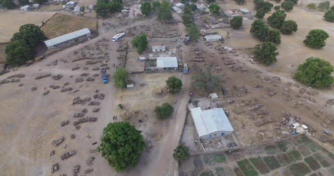Photo tirée de la vidéo réalisée par un drone et qui révèle l’un des lieux de stockage du trafic illégal du bois de vène entre le Sénégal et la Gambie.