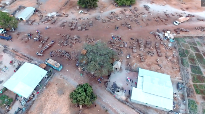 Vue aérienne de l’un des dépôts de bois dans le village de Sare Bodjo, à la frontière entre la Gambie et le Sénégal.