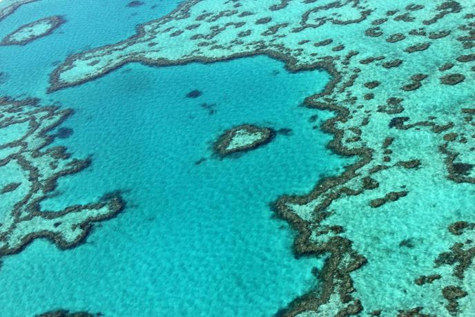 grande barriere de corail australie