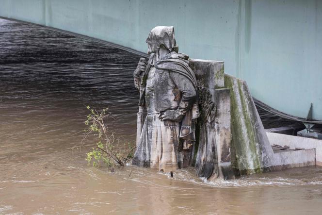 Le « Zouave », près du pont de l’Alma à Paris, le 2 juin.