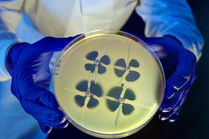 Un biologiste présente un test destiné à identifier les bactéries résistantes aux carbapénèmes, les antibiotiques « ultimes ».