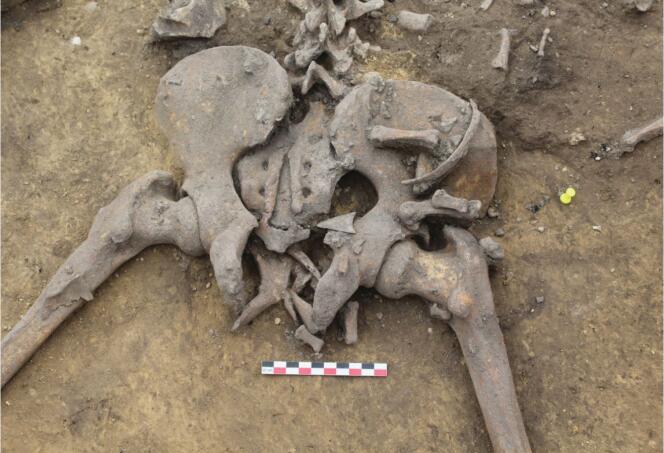 Pointe de flèche de silex ayant été fichée dans le bassin d’un des squelettes retrouvés à Achenheim (Bas-Rhin).