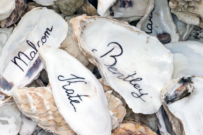 ont des coquilles 8 lettres