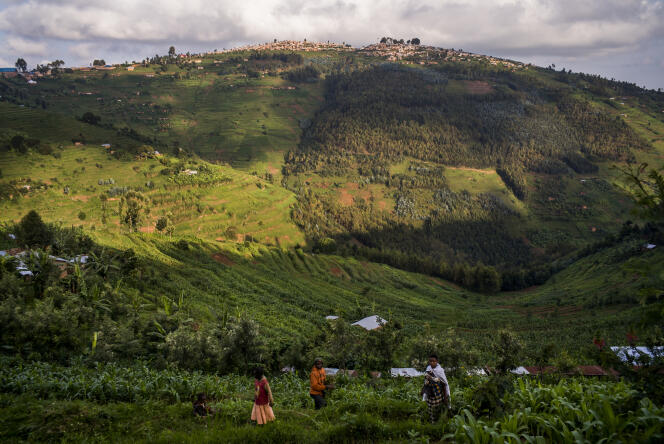 Exploitation agricole à Gicumbi, district de la Province du Nord, au Rwanda.