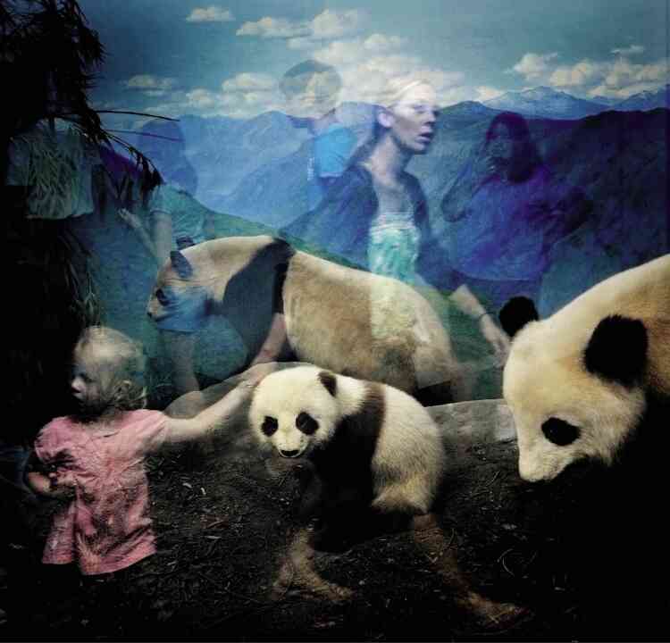 « Pandas ».