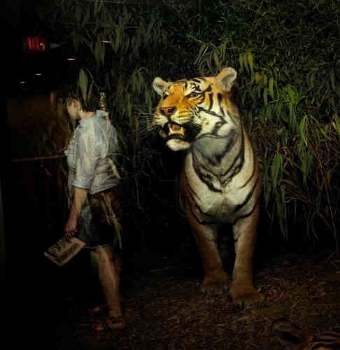 « Tiger ».
