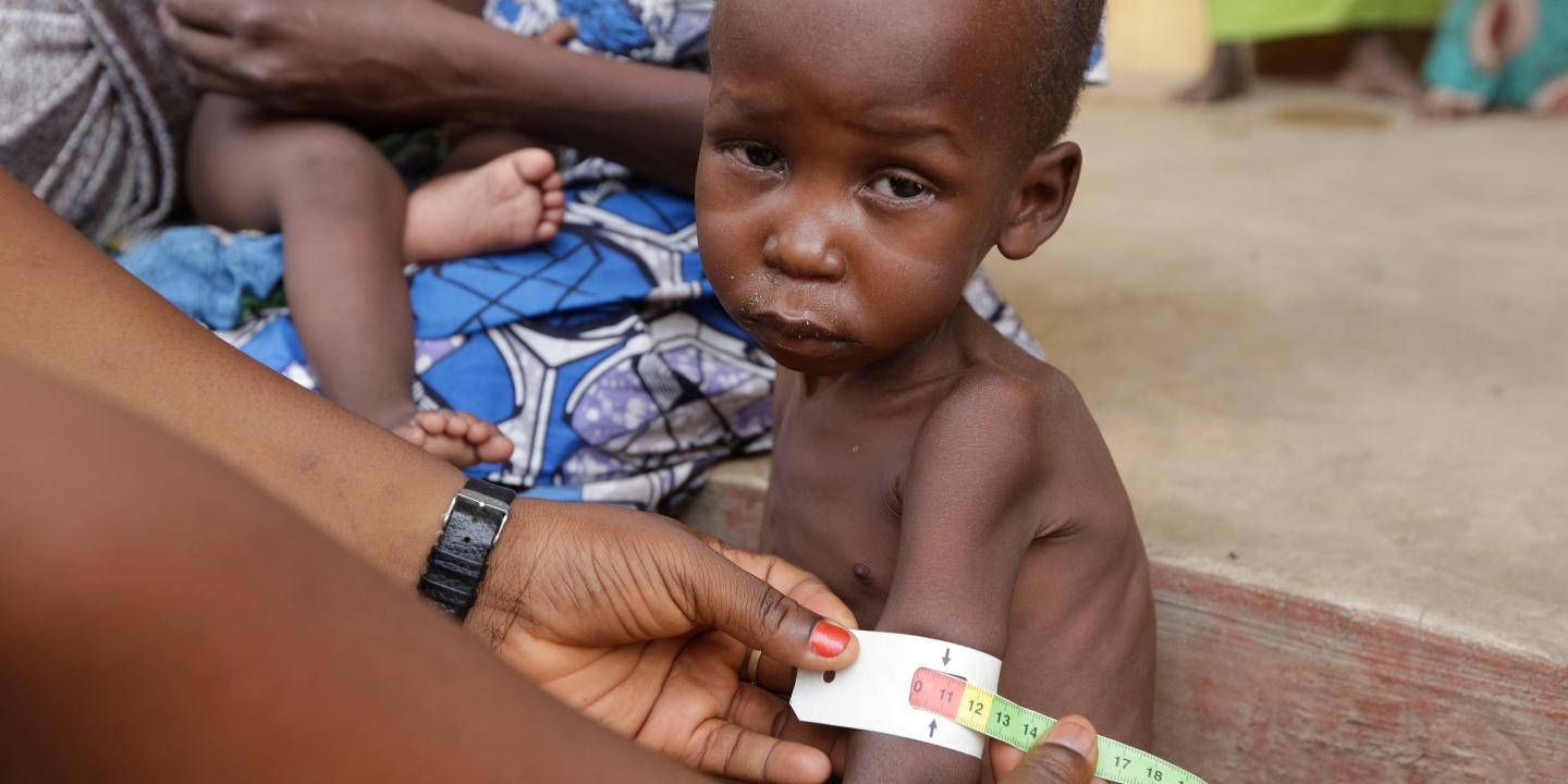 Au Nigeria, deux millions de personnes menacées de famine et coupées de ...