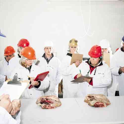 Des étudiants déterminent la qualité d’une viande d’agneau dans le laboratoire de l’université Texas Tech.