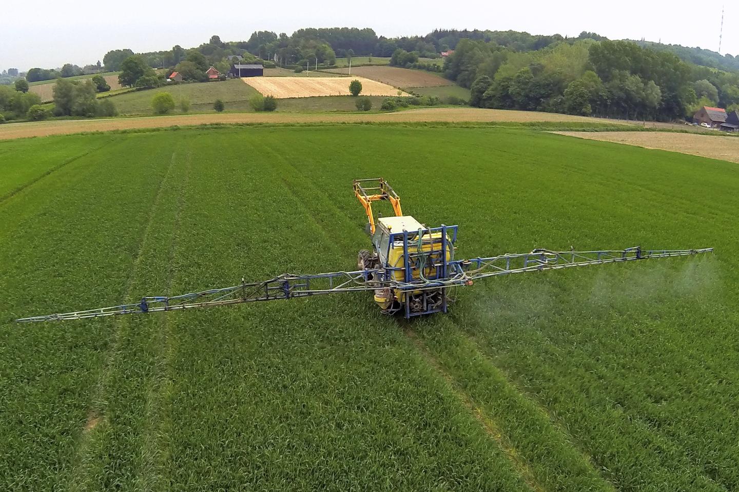Des insectes résistants aux pesticides inquiètent les Etats-Unis