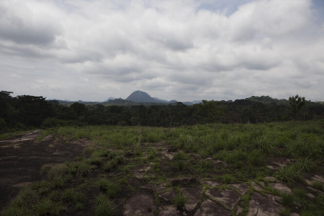 Le paysage vu de Koidu à l’est de la Sierra Leone.