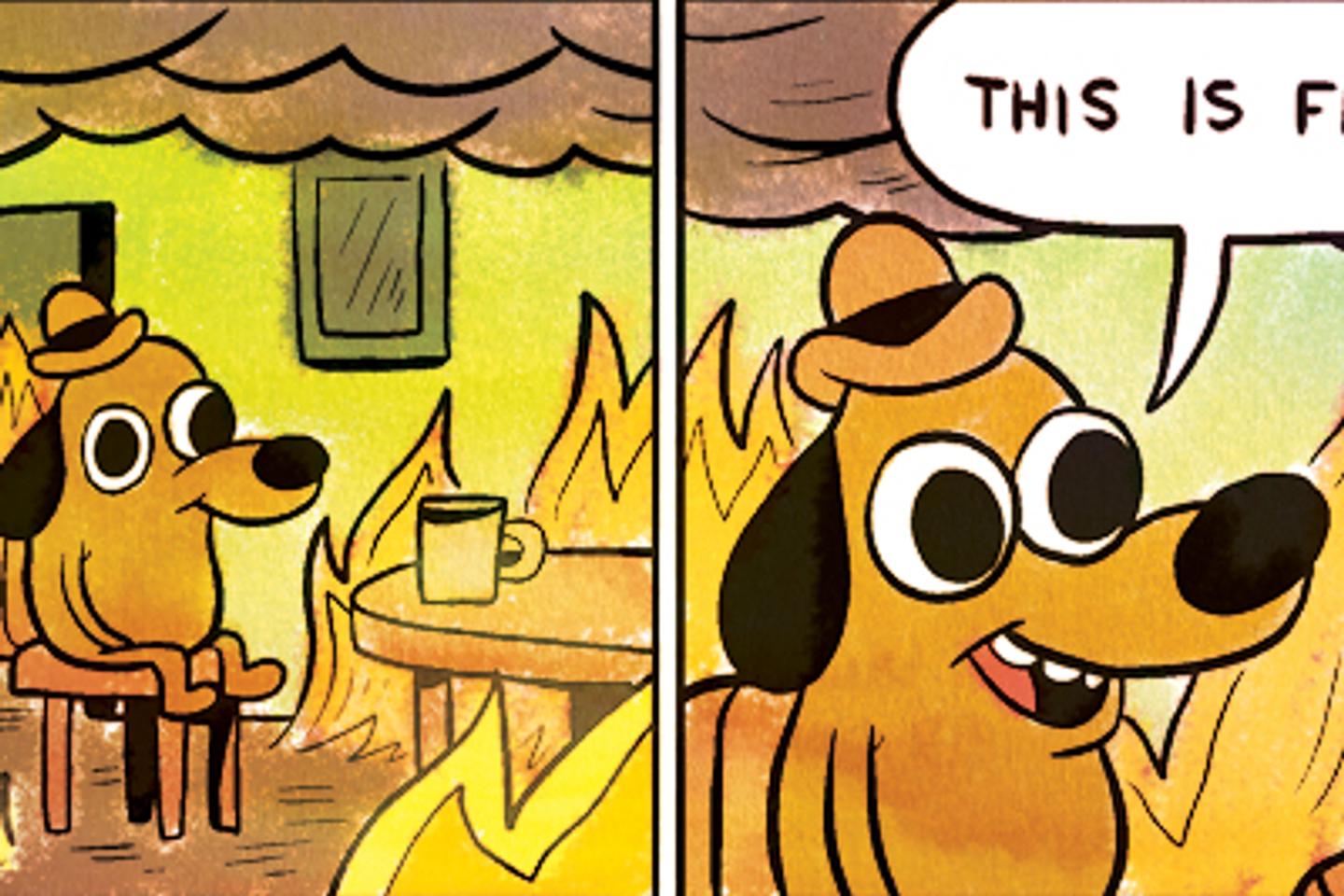 De « this is fine » à « this is not fine », l’histoire d’un « meme » qui a du chien
