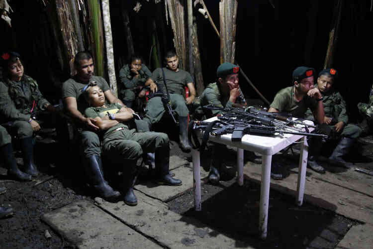 Des combattants du 48e front regardent la télévision dans leur campement, dans la jungle de Putumayo, le 12 août.