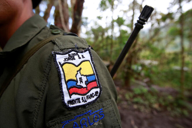 Un membre des Forces armées révolutionnaires de Colombie (FARC), dans la cordillière orientale, le 16 août.