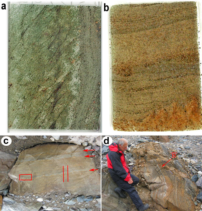 Les roches sur lesquels des stromatolites ont été découverts au Groenland