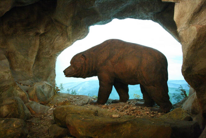 Reconstitution d’un ours des cavernes au Musée d’histoire naturelle de Bâle.