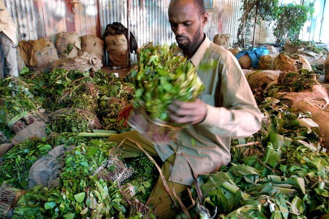 Un commerçant somalien de khat.