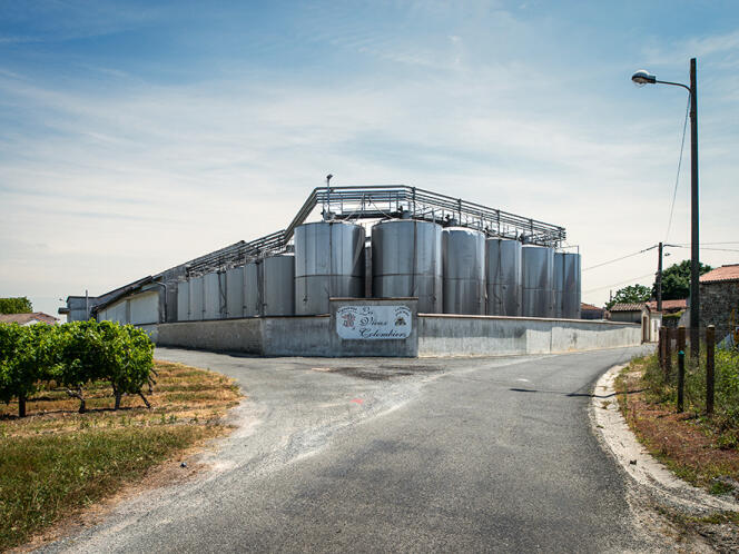 Premier producteur de l’appellation médoc, la coopérative Uni-Médoc compte 180 exploitants donc la cave Les Vieux Colombiers, à Prignac.