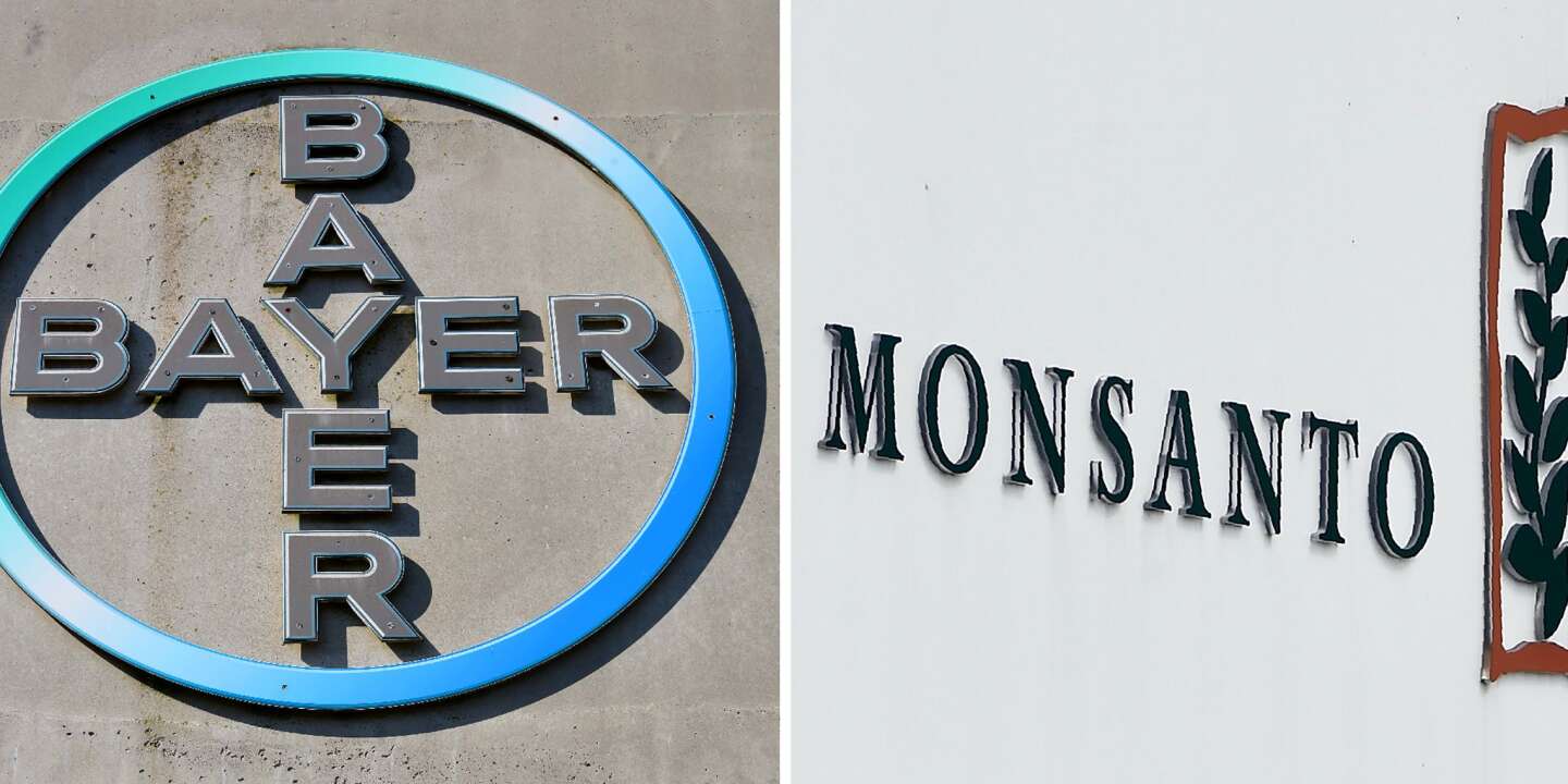 Bayer rachète le géant des semences OGM Monsanto pour 59 milliards d’euros