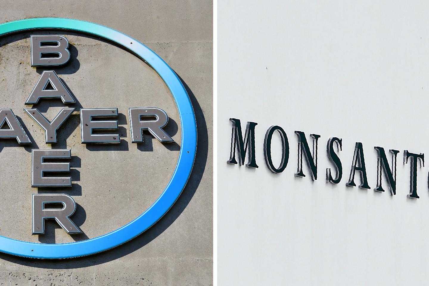 Bayer rachète le géant des semences OGM Monsanto pour 59 milliards d’euros