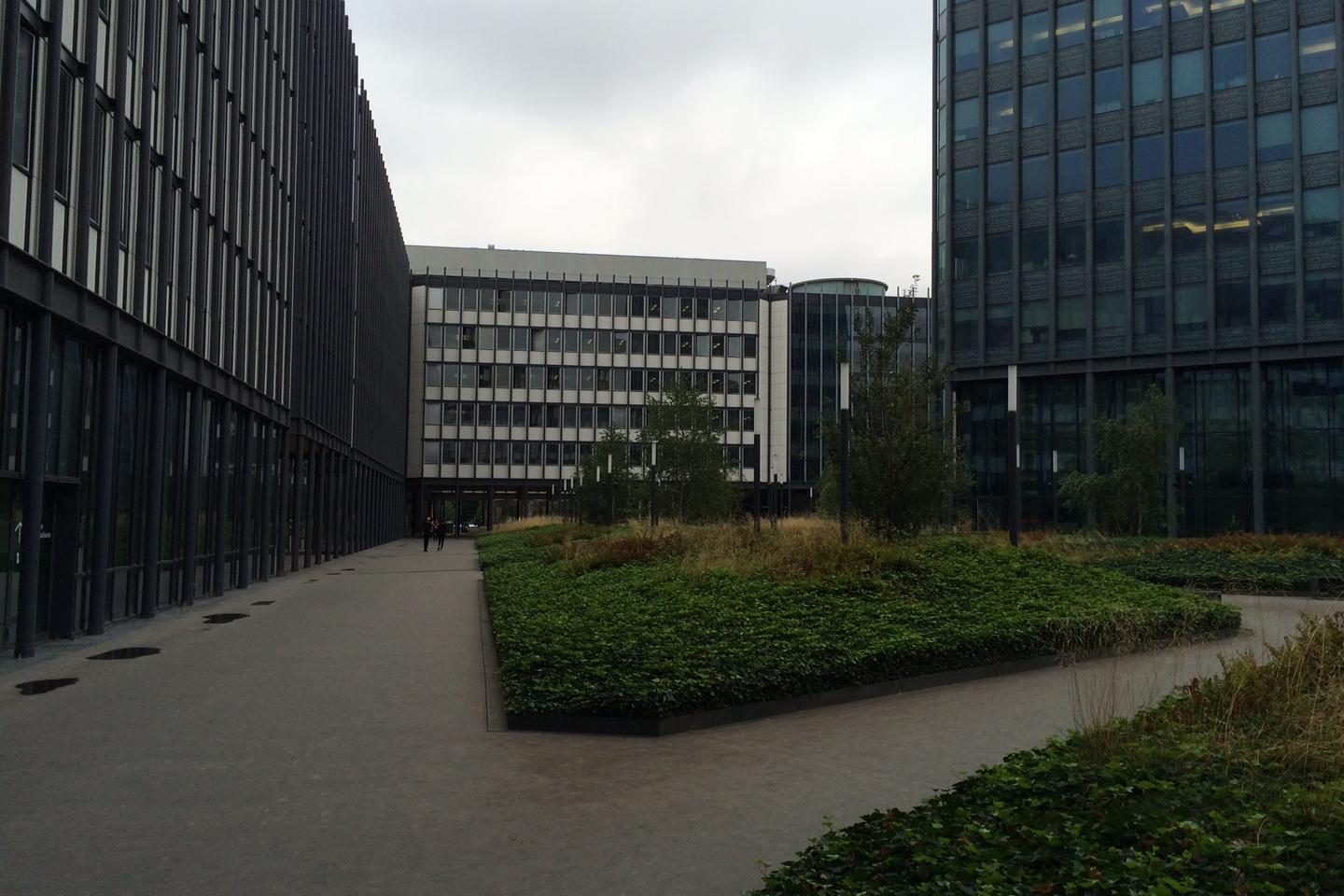 “Se abandona la idea de un servicio público de educación superior e investigación para ser preservada por un sistema al estilo americano”