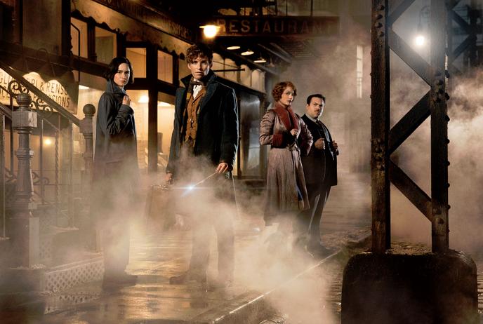 Six Questions Sur Les Animaux Fantastiques La Saga Qui Succede A Harry Potter