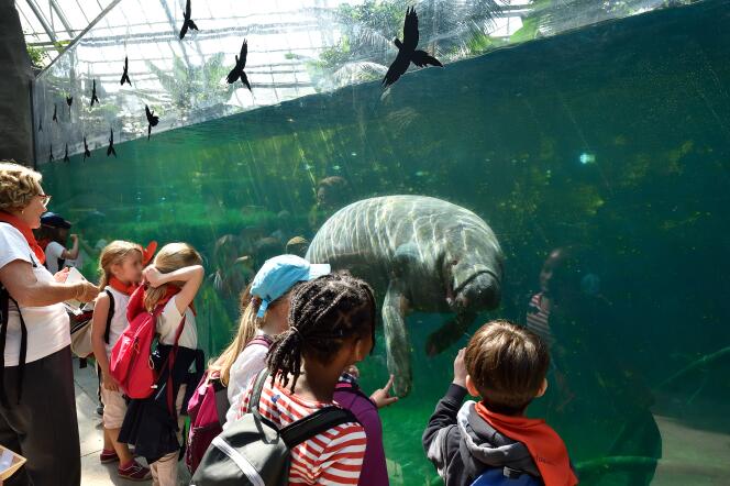 Des enfants en visite au Parc zoologique de Paris à Vincennes.