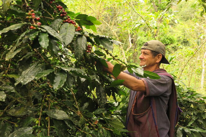 Mission d’agro-écologie dans le sud du Pérou.