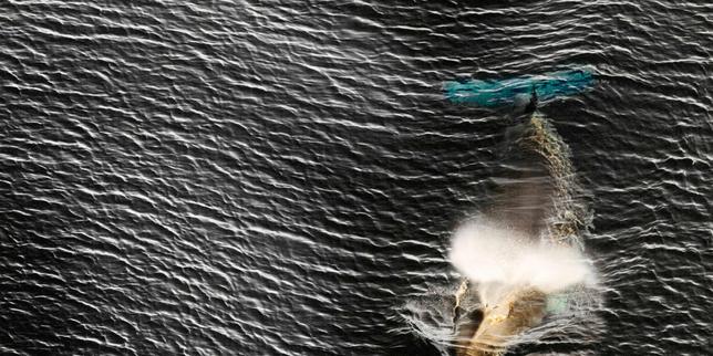 pourquoi-les-japonais-pêchent-encore-des-baleines-(alors-qu’ils-n’en-mangent-presque-plus) pourquoi-les-japonais-pêchent-encore-des-baleines-(alors-qu’ils-n’en-mangent-presque-plus)