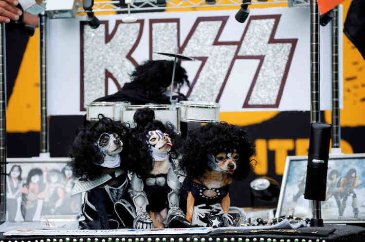 Des chiens habillés à la manière du groupe de rock Kiss prennent part à la parade annuelle des chiens d’Halloween, au Tompkins Square Park de Manhattan, à New York, le 22 octobre.