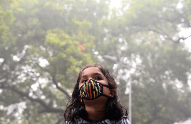 Manifestation contre la pollution le 6 novembre à New Delhi.