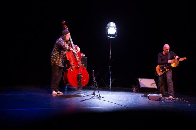 La contrebassiste Joëlle Léandre et le guitariste Serge Teyssot-Gay sur scène, lors du D’Jazz Nevers Festival, le 7 novembre 2016.