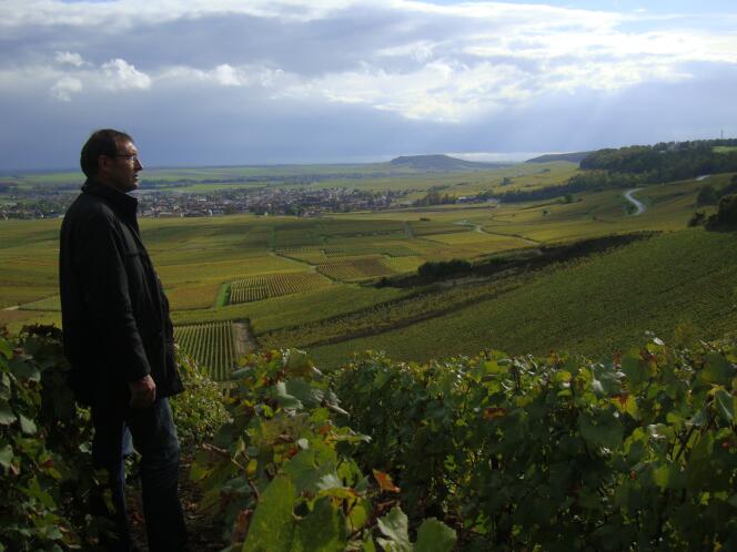 Pierre Larmandier dans ses vignes : près de quinze hectares, classés en premiers et grands crus, répartis dans la côte des Blancs (Marne).