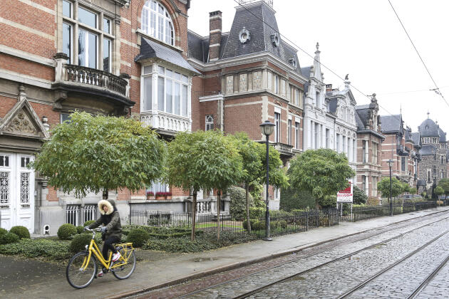 La Cogels-osylei straat est la  « plus belle rue du pays » selon les guides.